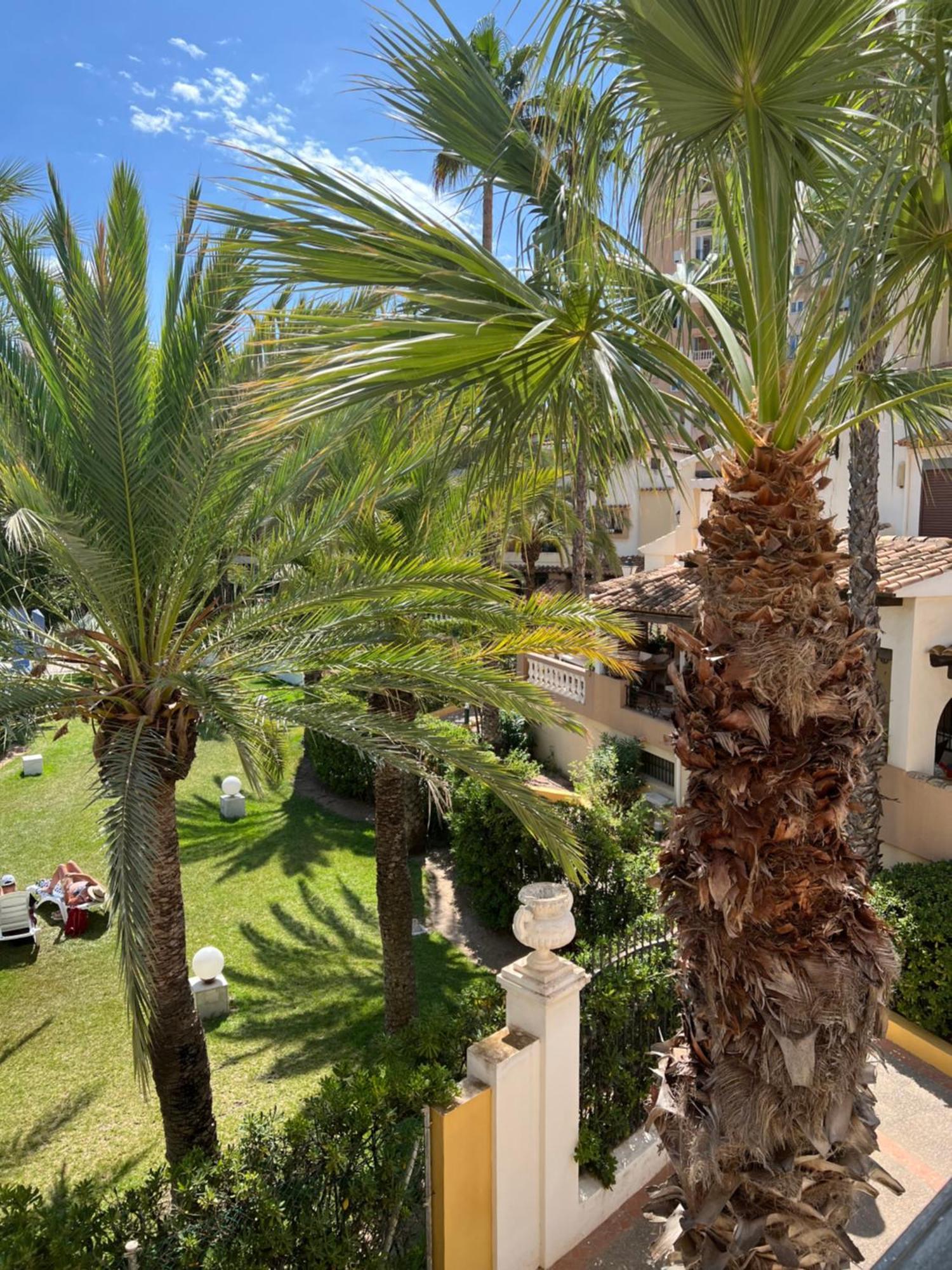 Casa Al Mare Aldea Apartment Torrevieja Ngoại thất bức ảnh